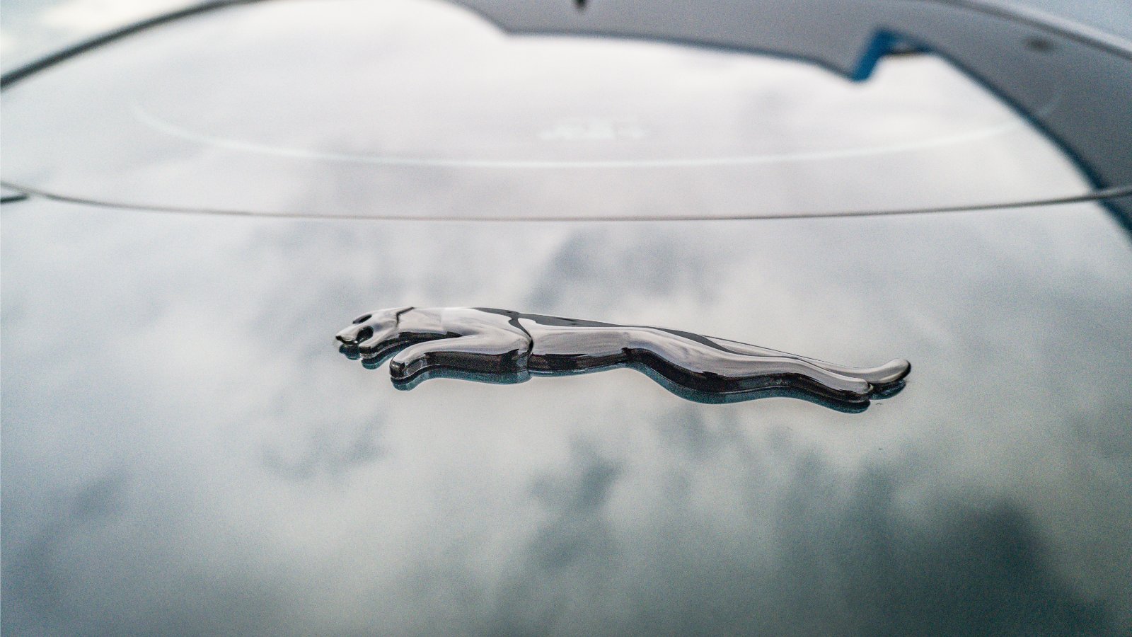 Car Detailing Bosley